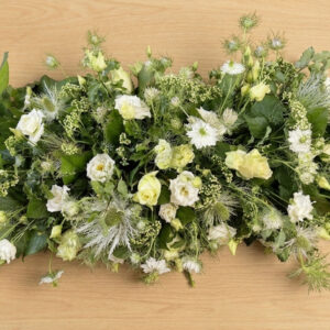 Coussin allongé blanc (D11)